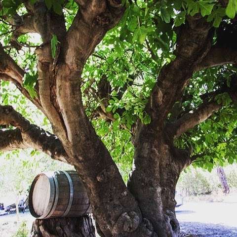 Photo: Fig Tree Estate Winery
